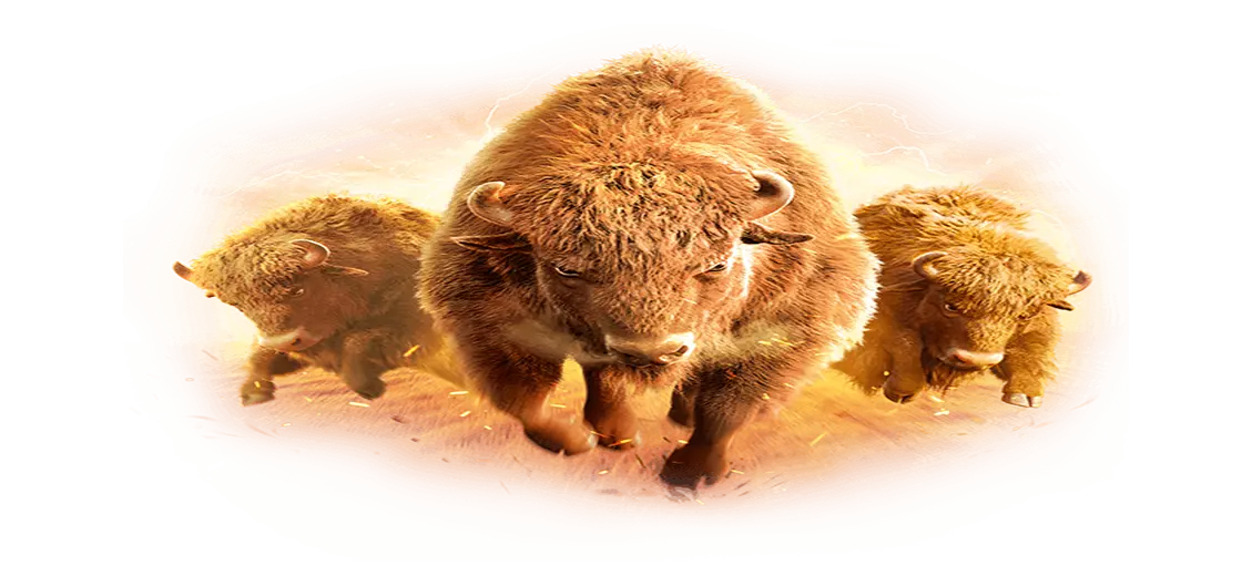 Buffalo Win