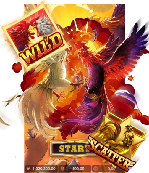 ROOSTER RUMBLE2