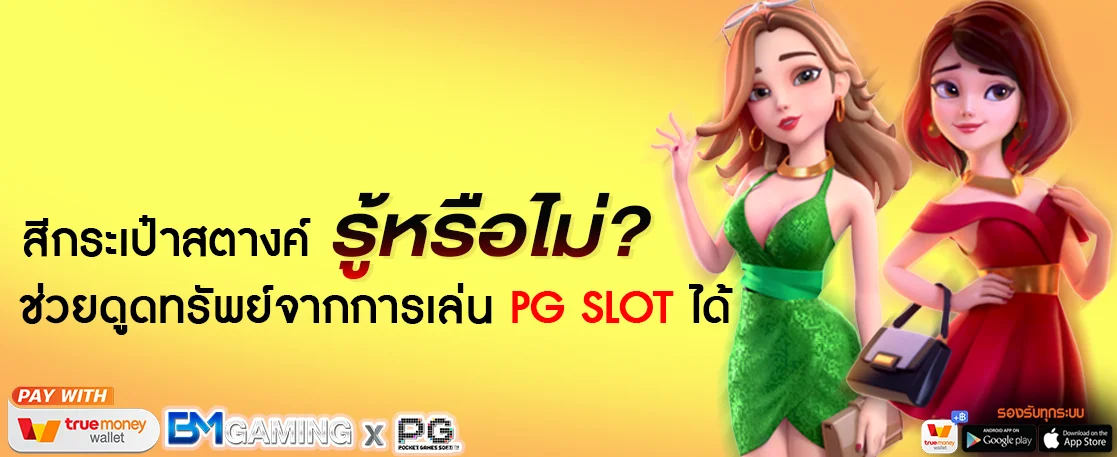 สีกระเป๋าสตางค์