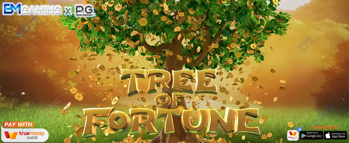 รีวิวเกม Tree Of Fortune จาก PG SLOT