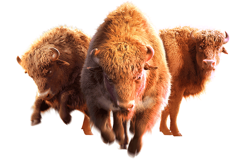 เครดิตฟรี 188