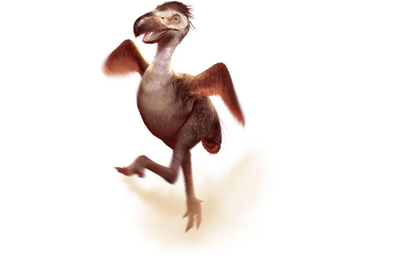 เบ ท ฟิก 99s