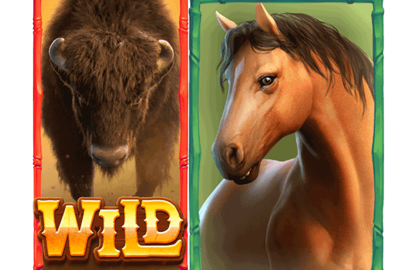 เว็บpgสล็อต