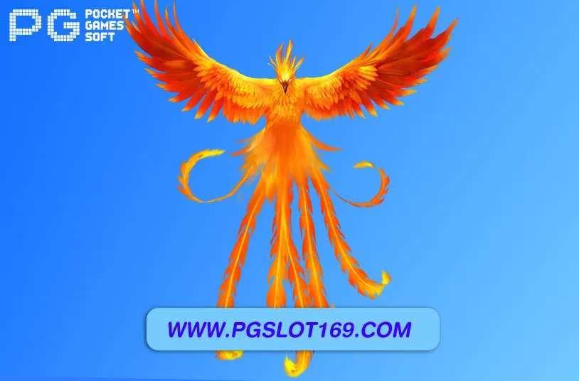 pgzeed42โค้ด