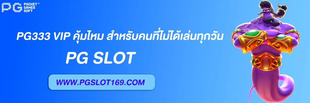 pg333 vip