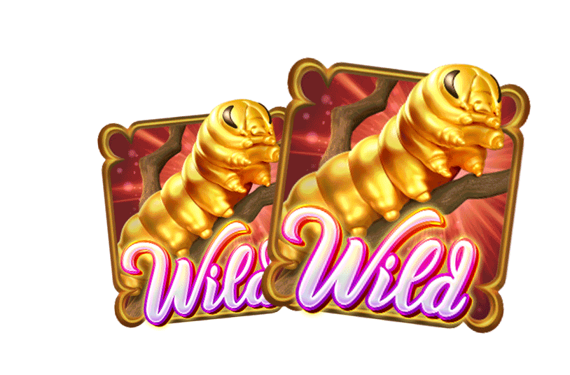 ทาง เข้า เล่น pg slot