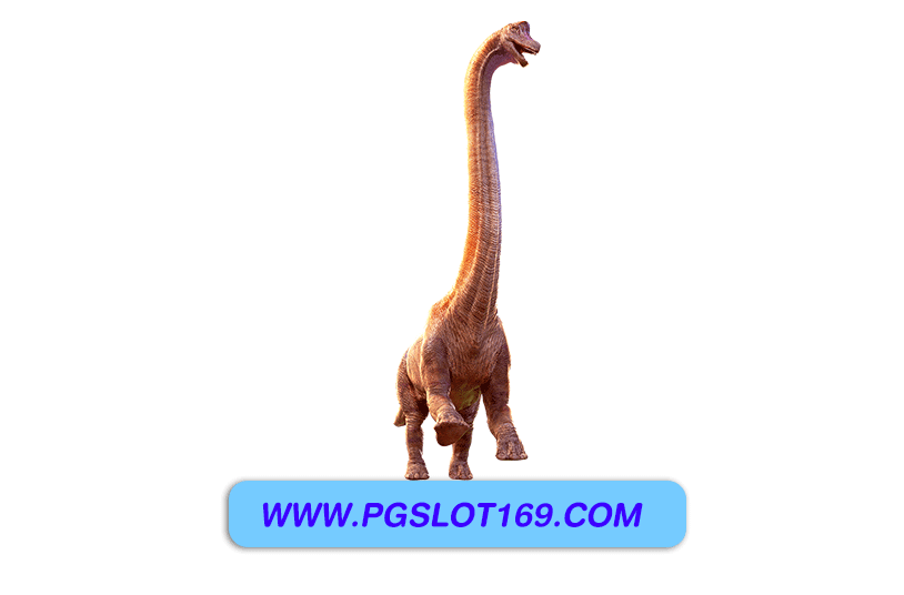 pg auto wallet 1รับ50